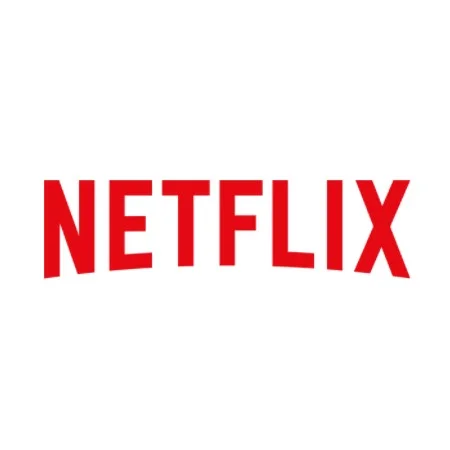 Netflix gratis - Diseño Conjuntas